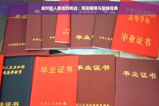 应对收入降低的挑战，现实困境与策略指南