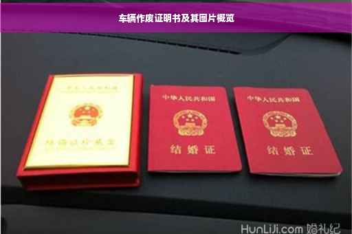 车辆作废证明书及其图片概览