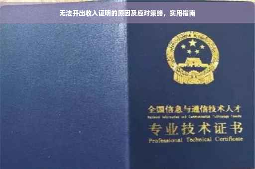 无法开出收入证明的原因及应对策略，实用指南