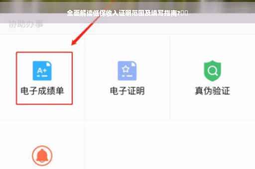全面解读低保收入证明范围及填写指南?⚡️