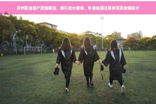 开州区低保户政策解读，银行流水查询、申请低保注意事项及金额探讨