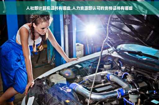 人社部计算机证书有哪些,人力资源部认可的资格证书有哪些