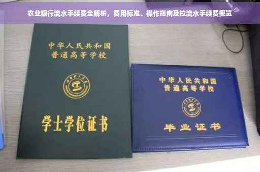 农业银行流水手续费全解析，费用标准、操作指南及拉流水手续费概览
