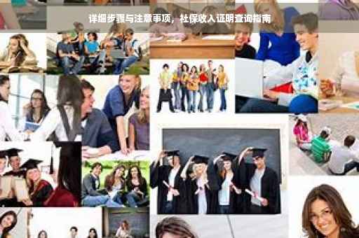 详细步骤与注意事项，社保收入证明查询指南