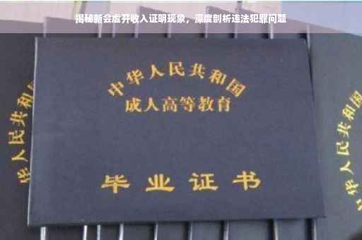 揭秘新会虚开收入证明现象，深度剖析违法犯罪问题