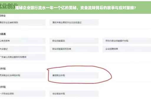 揭秘企业银行流水一年一个亿的奥秘，资金流转背后的故事与应对策略?