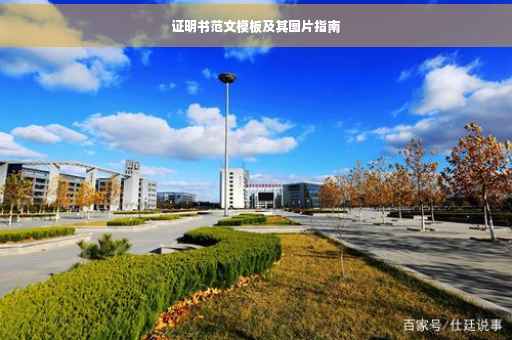 证明书范文模板及其图片指南