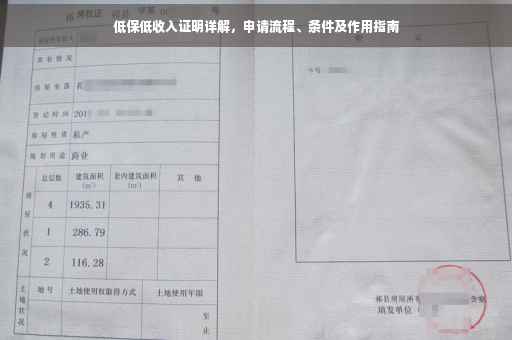 低保低收入证明详解，申请流程、条件及作用指南