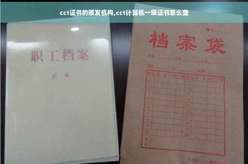 cct证书的颁发机构,cct计算机一级证书怎么查