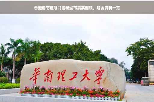 香港细节证明书揭秘城市真实面貌，所需资料一览