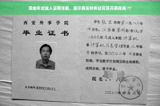 现金形式收入证明详解，揭示真实财务状况及开具指南 ??