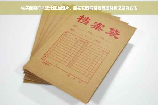 电子版银行卡流水账单图片，轻松获取与高效管理财务记录的方法