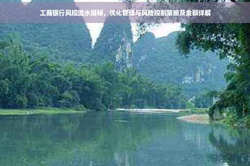 工商银行风控流水揭秘，优化管理与风险控制策略及金额详解