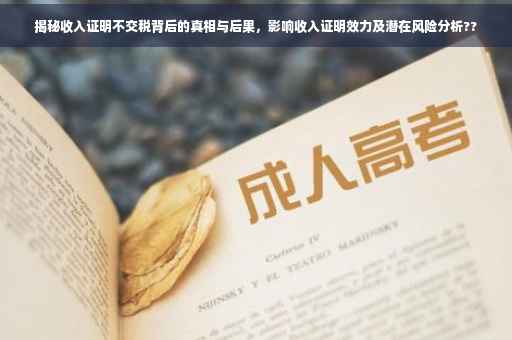 揭秘收入证明不交税背后的真相与后果，影响收入证明效力及潜在风险分析??