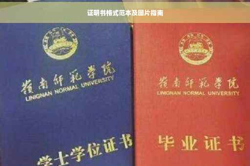 证明书格式范本及图片指南