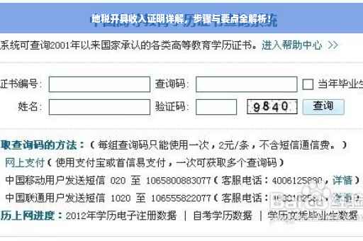 地税开具收入证明详解，步骤与要点全解析！