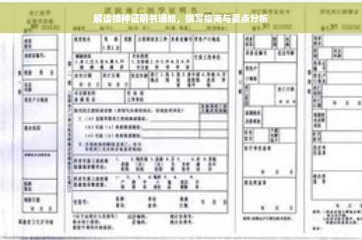 解读接种证明书通知，撰写指南与要点分析