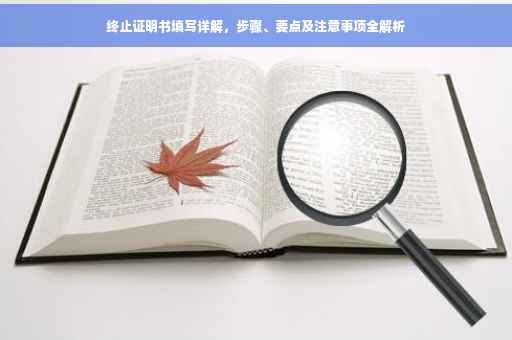 终止证明书填写详解，步骤、要点及注意事项全解析