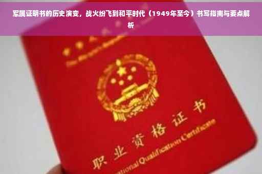 军属证明书的历史演变，战火纷飞到和平时代（1949年至今）书写指南与要点解析