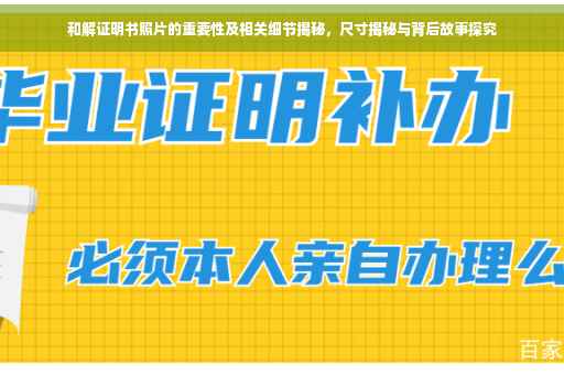 和解证明书照片的重要性及相关细节揭秘，尺寸揭秘与背后故事探究