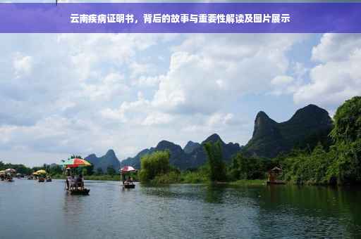 云南疾病证明书，背后的故事与重要性解读及图片展示