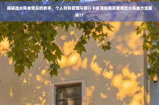 揭秘流水账单背后的故事，个人财务管理与银行卡使用指南及查询流水账单方法解析??