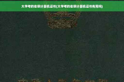 大学考的省级计算机证书(大学考的省级计算机证书有用吗)