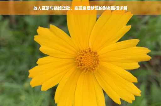 收入证明与装修贷款，实现家居梦想的财务路径详解