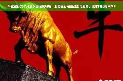 兴业银行六个月流水图深度解析，洞悉银行运营动态与趋势，流水打印指南?⚡️