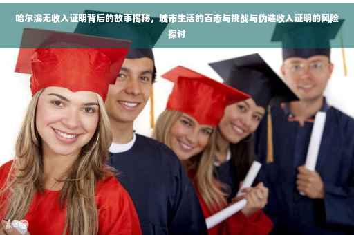 哈尔滨无收入证明背后的故事揭秘，城市生活的百态与挑战与伪造收入证明的风险探讨