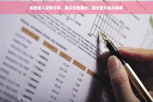 虚假收入证明范本，揭开犯罪面纱，曝光图片揭示真相