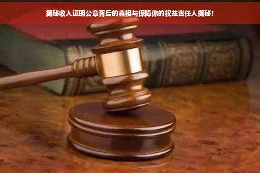 揭秘收入证明公章背后的真相与保障你的权益责任人揭秘！