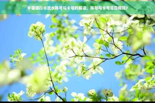 中国银行卡流水账号与卡号的解读，账号与卡号是否相同？
