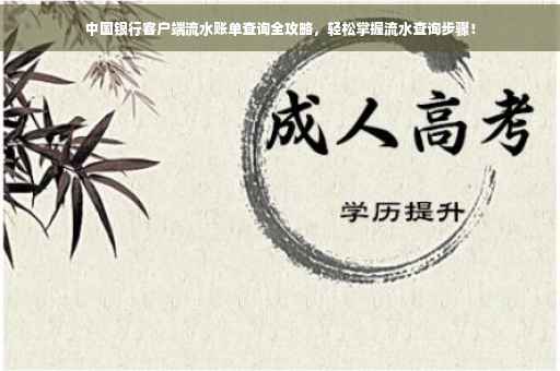 中国银行客户端流水账单查询全攻略，轻松掌握流水查询步骤！