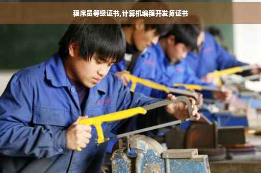 程序员等级证书,计算机编程开发师证书