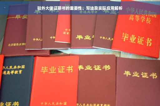 驻外大使证明书的重要性、写法及实际应用解析