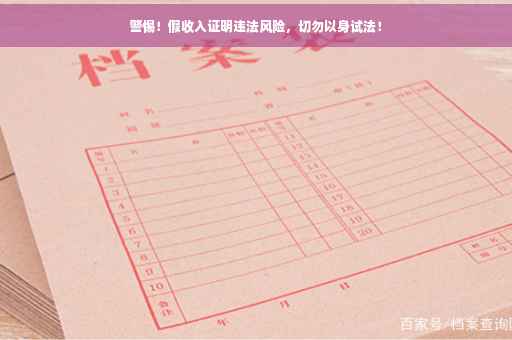 警惕！假收入证明违法风险，切勿以身试法！