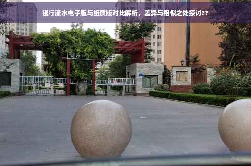 银行流水电子版与纸质版对比解析，差异与相似之处探讨??