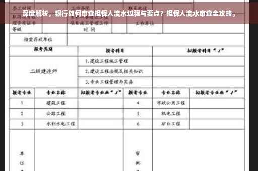 深度解析，银行如何审查担保人流水过程与要点？担保人流水审查全攻略。