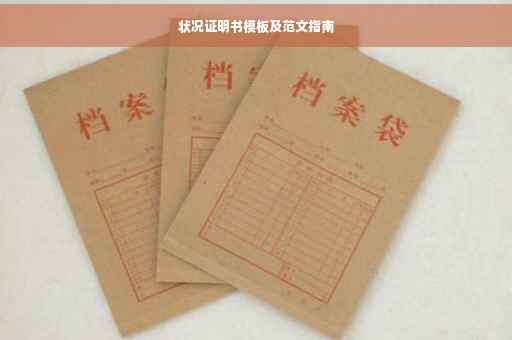 状况证明书模板及范文指南