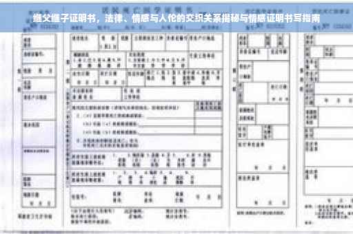 继父继子证明书，法律、情感与人伦的交织关系揭秘与情感证明书写指南