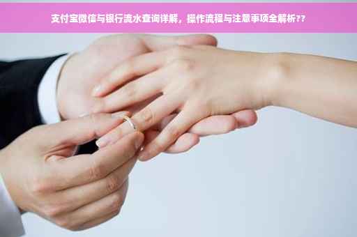 支付宝微信与银行流水查询详解，操作流程与注意事项全解析??