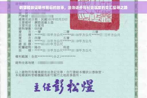 鹤壁释放证明书背后的故事，法治进步与社会温度的交汇探寻之路