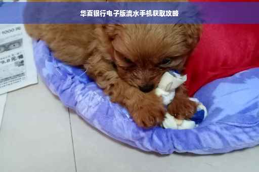 华夏银行电子版流水手机获取攻略