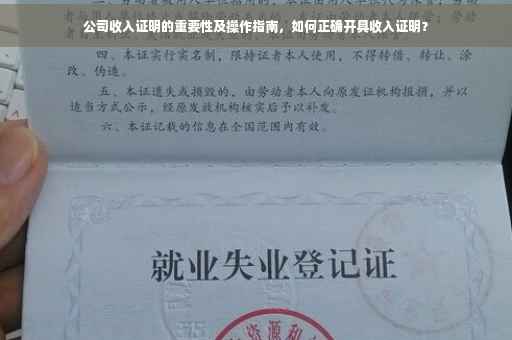 公司收入证明的重要性及操作指南，如何正确开具收入证明？
