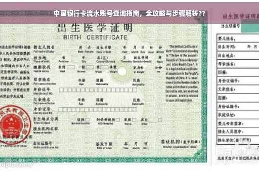 中国银行卡流水账号查询指南，全攻略与步骤解析??