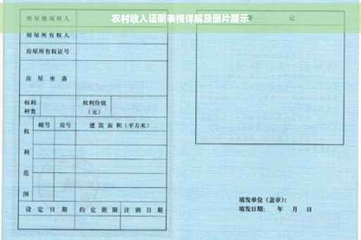 农村收入证明表格详解及图片展示