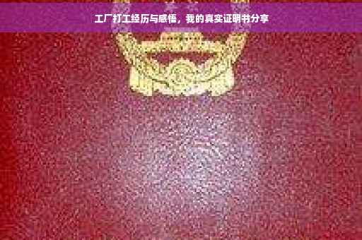 工厂打工经历与感悟，我的真实证明书分享