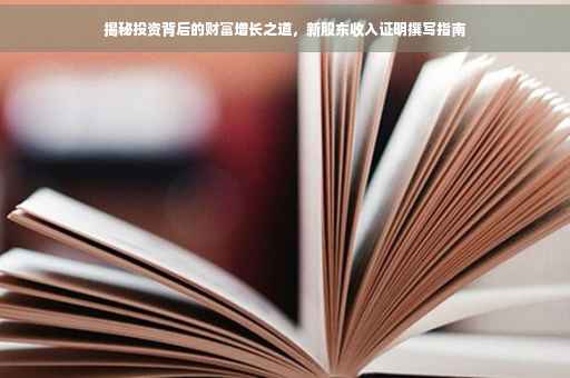 揭秘投资背后的财富增长之道，新股东收入证明撰写指南