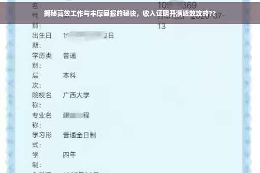 揭秘高效工作与丰厚回报的秘诀，收入证明开满绩效攻略??